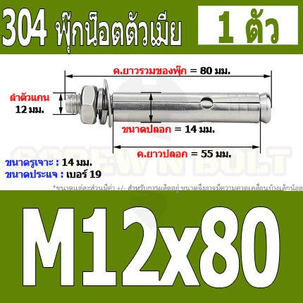 พุ๊ก พุก หัวน๊อต ตัวเมีย สแตนเลส 304 แหวนอีแปะ+สปริง M12 / Sleeve Expansion Anchor Bolt with Nut SUS304 M12