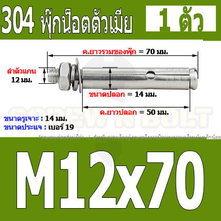 พุ๊ก พุก หัวน๊อต ตัวเมีย สแตนเลส 304 แหวนอีแปะ+สปริง M12 / Sleeve Expansion Anchor Bolt with Nut SUS304 M12