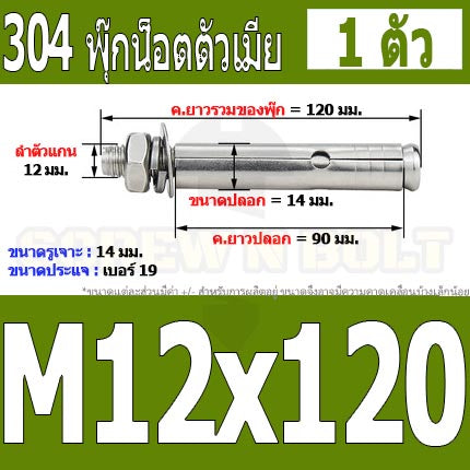 พุ๊ก พุก หัวน๊อต ตัวเมีย สแตนเลส 304 แหวนอีแปะ+สปริง M12 / Sleeve Expansion Anchor Bolt with Nut SUS304 M12