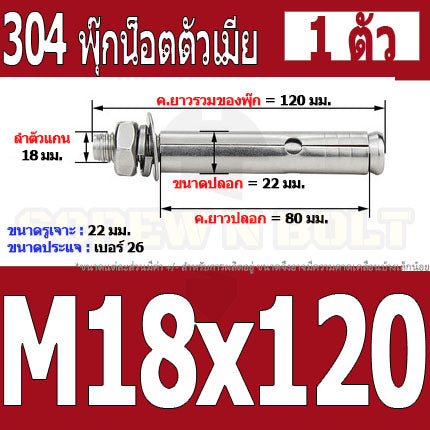 พุ๊ก พุก หัวน๊อต ตัวเมีย สแตนเลส 304 แหวนอีแปะ+สปริง M18 M20 / Sleeve Expansion Anchor Bolt with Nut SUS304 M18 M20