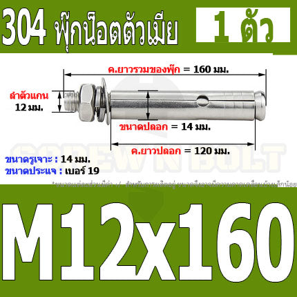 พุ๊ก พุก หัวน๊อต ตัวเมีย สแตนเลส 304 แหวนอีแปะ+สปริง M12 / Sleeve Expansion Anchor Bolt with Nut SUS304 M12