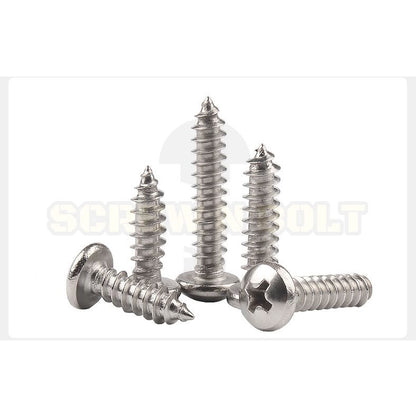 น็อต สกรู หัวกลม หัวแพน แฉก P+ สแตนเลส 304 เกลียวปล่อย ปลายแหลม #6 / Pan Head Phillip Tapping Screw SUS304 #6