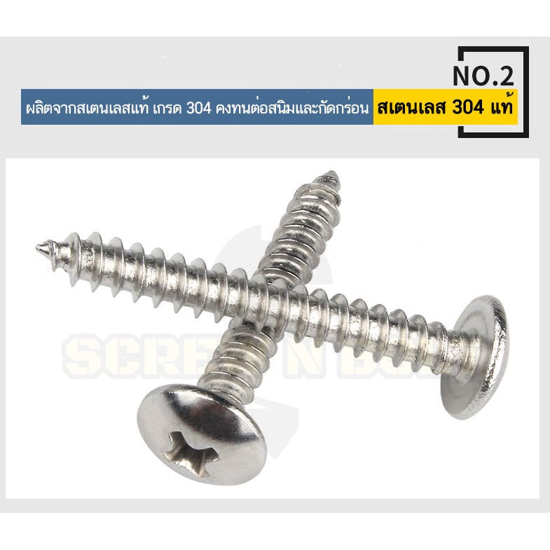 น็อต สกรู หัวร่ม หัวกระทะ แฉก T+ สแตนเลส 304 เกลียวปล่อย M3.5 / Truss an Head Phillip Tapping Screw SUS304 M3.5