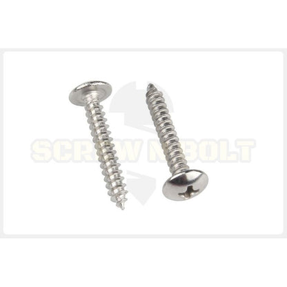น็อต สกรู หัวร่ม หัวกระทะ แฉก T+ สแตนเลส 304 เกลียวปล่อย M5 / Truss an Head Phillip Tapping Screw SUS304 M5