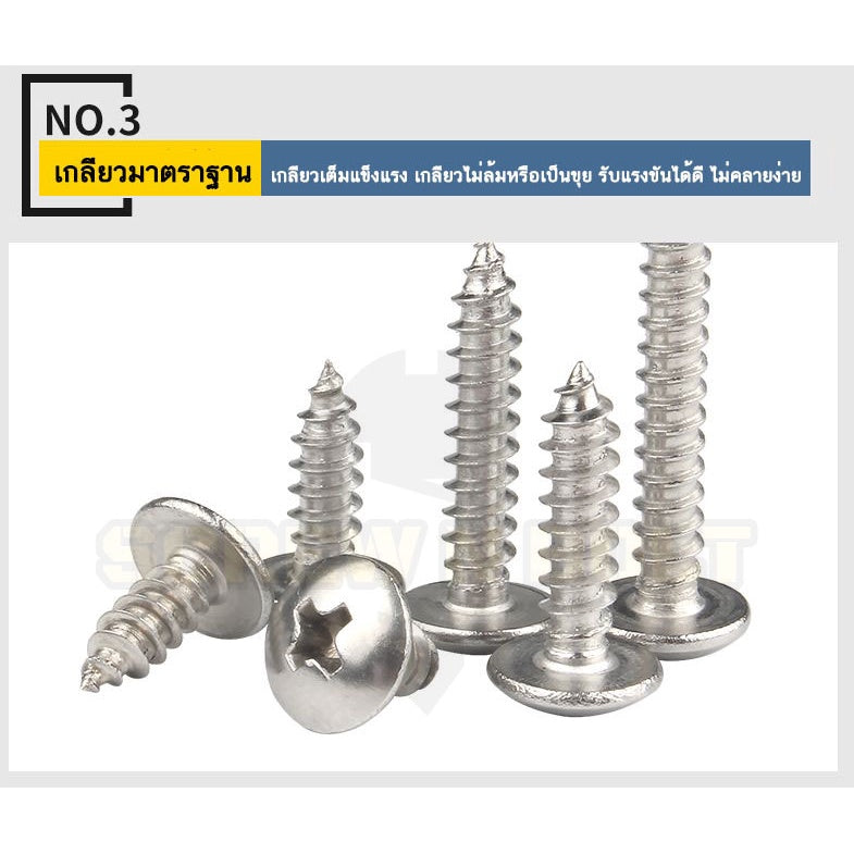 น็อต สกรู หัวร่ม หัวกระทะ แฉก T+ สแตนเลส 304 เกลียวปล่อย M3.5 / Truss an Head Phillip Tapping Screw SUS304 M3.5