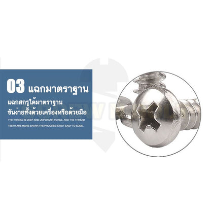 น็อต สกรู หัวกลม หัวแพน แฉก P+ สแตนเลส 304 เกลียวปล่อย ปลายแหลม #12 / Pan Head Phillip Tapping Screw SUS304 #12