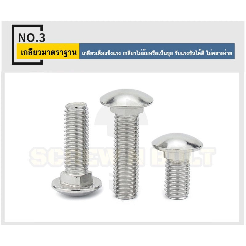 สกรู น็อต หัวกลม คอเหลี่ยม สแตนเลส 304 เกลียวมิล หยาบ M4 M5 M6 / Cup Head Square Neck Bolt, SUS304