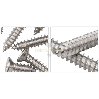น็อต สกรู หัวเตเปอร์ หัวเรียบ แฉก F+ สแตนเลส 304 เกลียวปล่อย ปลายแหลม #4 / Flat Head Phillip Tapping Screw SUS304 #4
