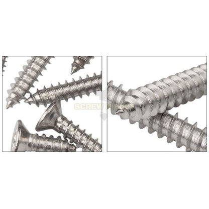 น็อต สกรู หัวเตเปอร์ แฉก F+ สแตนเลส 304 เกลียวปล่อย M6 / Flat Head Phillip Tapping Screw SUS304 M6