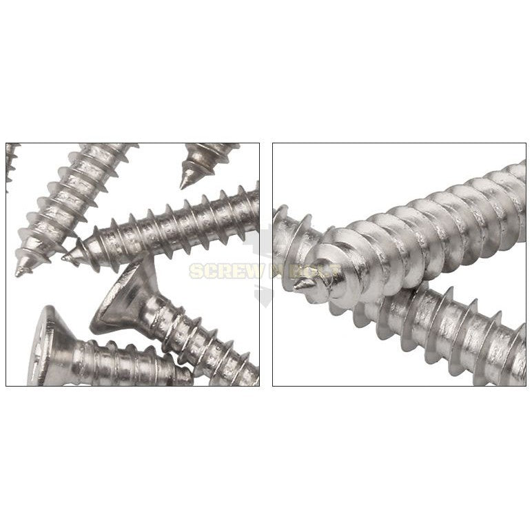 น็อต สกรู หัวเตเปอร์ แฉก F+ สแตนเลส 304 เกลียวปล่อย M5 / Flat Head Phillip Tapping Screw SUS304 M5
