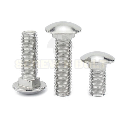 สกรู น็อต หัวกลม คอเหลี่ยม สแตนเลส 304 เกลียวมิล หยาบ M4 M5 M6 / Cup Head Square Neck Bolt, SUS304