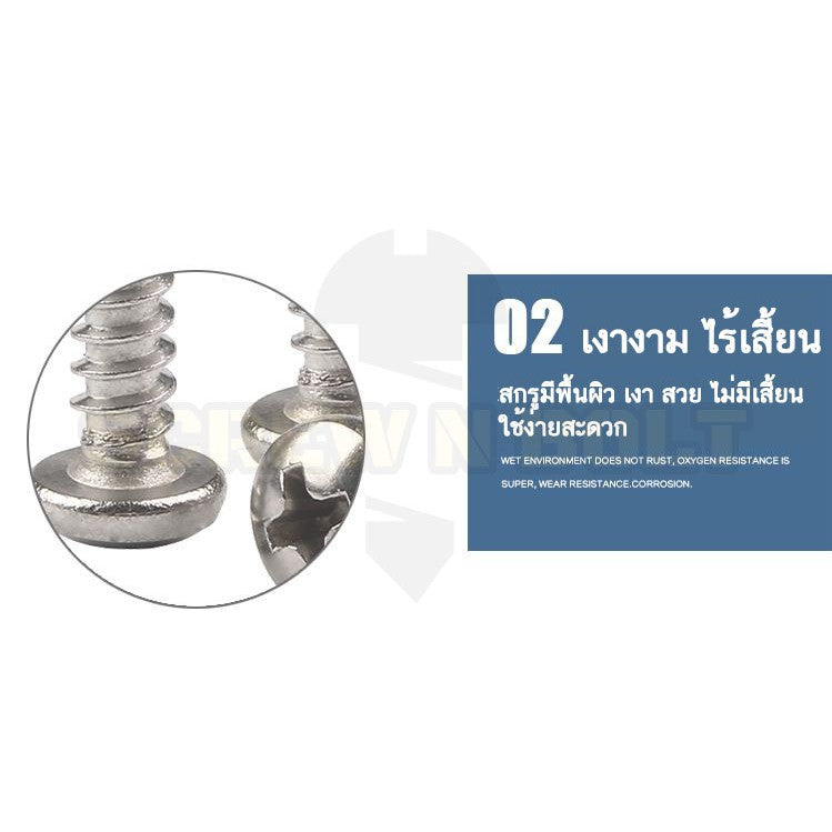 น็อต สกรู หัวกลม แฉก P+ สแตนเลส 304 เกลียวปล่อย M6 / Pan Head Phillip Tapping Screw SUS304 M6