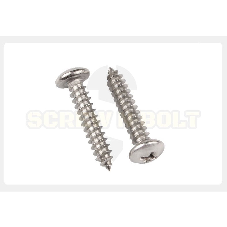 น็อต สกรู หัวกลม หัวแพน แฉก P+ สแตนเลส 304 เกลียวปล่อย ปลายแหลม #6 / Pan Head Phillip Tapping Screw SUS304 #6