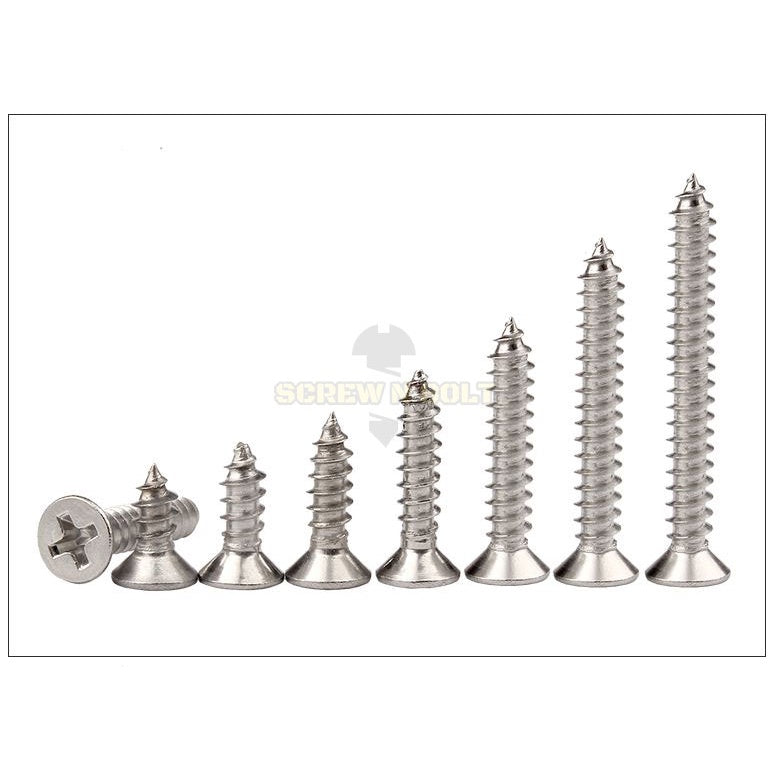 น็อต สกรู หัวเตเปอร์ หัวเรียบ แฉก F+ สแตนเลส 304 เกลียวปล่อย ปลายแหลม #14 / Flat Head Phillip Tapping Screw SUS304 #14