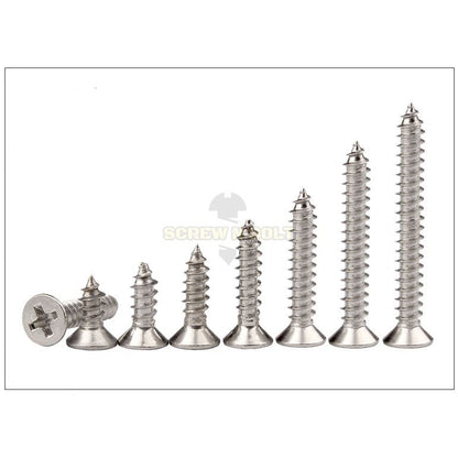 น็อต สกรู หัวเตเปอร์ หัวเรียบ แฉก F+ สแตนเลส 304 เกลียวปล่อย ปลายแหลม #12 / Flat Head Phillip Tapping Screw SUS304 #12