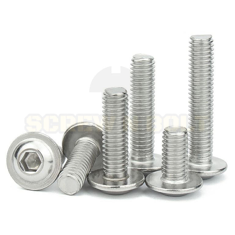 น็อต สกรู หัวจมกลม ติดแหวน ติดจาน สเตนเลส 304 เกลียวมิล หยาบ M6 M8 M10 / Button Head Washer Socket Machine Screw SUS304