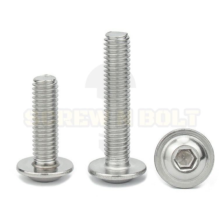 น็อต สกรู หัวจมกลม ติดแหวน ติดจาน สเตนเลส 304 เกลียวมิล หยาบ M6 M8 M10 / Button Head Washer Socket Machine Screw SUS304