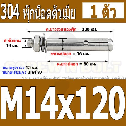 พุ๊ก พุก หัวน๊อต ตัวเมีย สแตนเลส 304 แหวนอีแปะ+สปริง M14 M16 / Sleeve Expansion Anchor Bolt with Nut SUS304 M14 M16