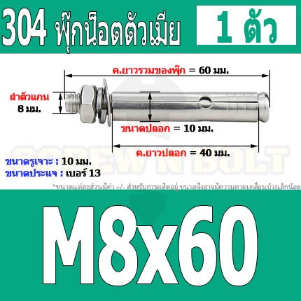 พุ๊ก พุก หัวน๊อต ตัวเมีย สแตนเลส 304 แหวนอีแปะ+สปริง M6 M8 / Sleeve Expansion Anchor Bolt with Nut SUS304 M6 M8