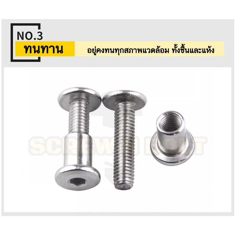 (ยกชุด) น็อต สกรู หัวกลมแบน งานเฟอร์ฯ+ตัวเมีย สแตนเลส 304 เกลียวมิล M5 M6 / Round Flat Hex Machine Screw+Nut SUS304