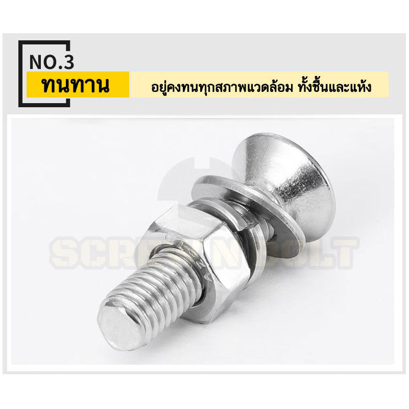 (ยกชุด) น็อต สกรู หัวเตเปอร์ แฉก F ตัวเมีย+แหวน สแตนเลส 304 เกลียวมิล M3 / (Set) Flat Head Machine Screw SUS