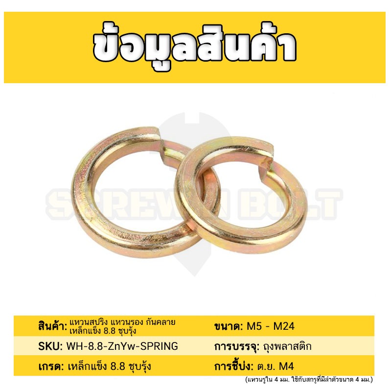แหวนสปริง แหวนรอง กันคลาย เหล็กแข็ง 8.8 ชุบรุ้ง - M5 - M24 / 8.8 Grade Spring Washer Yellow Zinc