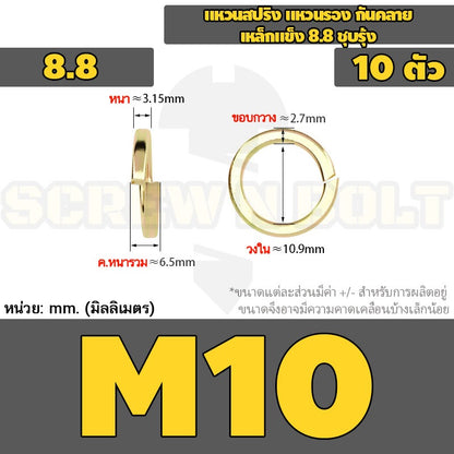 แหวนสปริง แหวนรอง กันคลาย เหล็กแข็ง 8.8 ชุบรุ้ง - M5 - M24 / 8.8 Grade Spring Washer Yellow Zinc