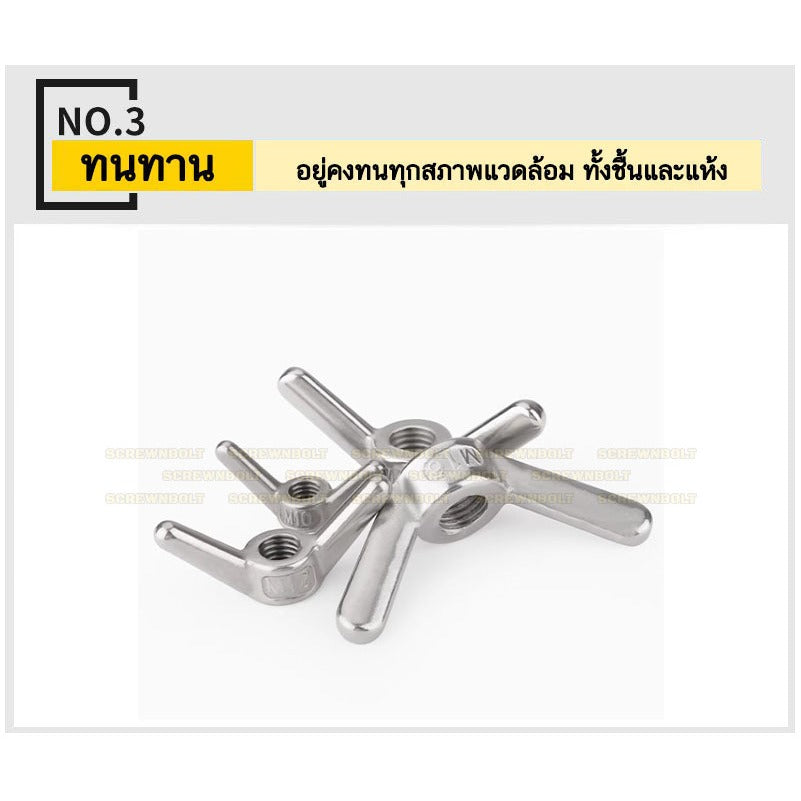 หัวน็อต ตัวเมีย หางปลา ปีก กลม เรียว สแตนเลส 304 เกลียวมิล หยาบ M6 M8 M10 M12 M14 / Wing Nut Slim SUS304