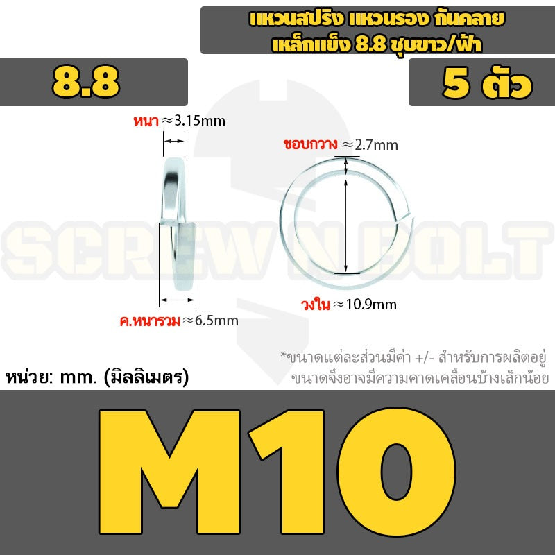 แหวนสปริง แหวนรอง กันคลาย เหล็กแข็ง 8.8 ชุบขาว/ฟ้า - M3 - M24 / 8.8 Grade Spring Washer White Zinc