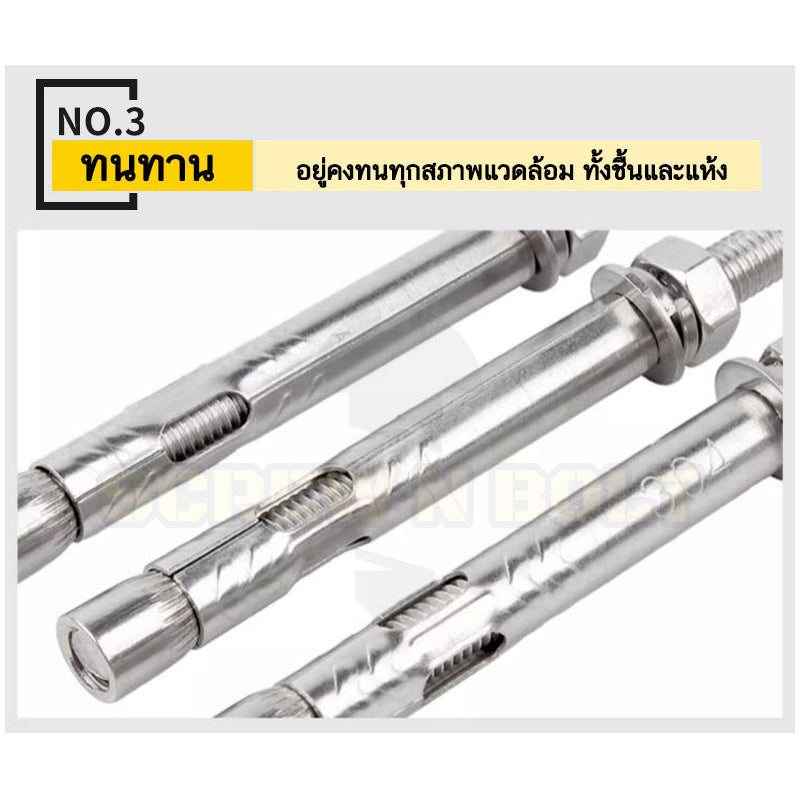 (ยกชุด) พุ๊ก พุก สตัด ตัวยาว (แหวน+ตัวเมีย2ชุด) สแตนเลส 304 เกลียวมิล M6 / (Set) Anchor Stud Bolt SUS304