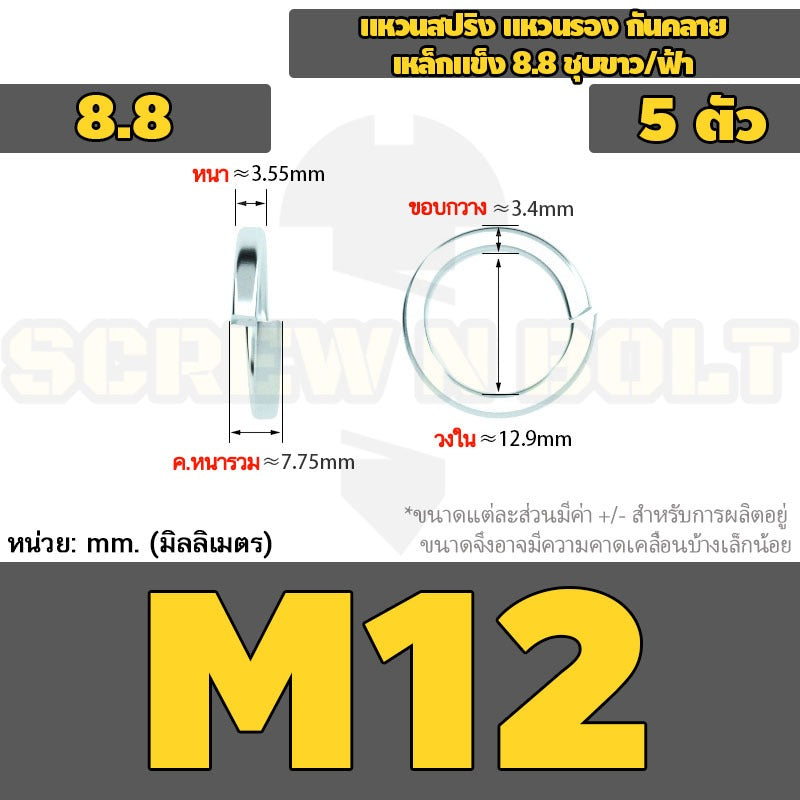 แหวนสปริง แหวนรอง กันคลาย เหล็กแข็ง 8.8 ชุบขาว/ฟ้า - M3 - M24 / 8.8 Grade Spring Washer White Zinc