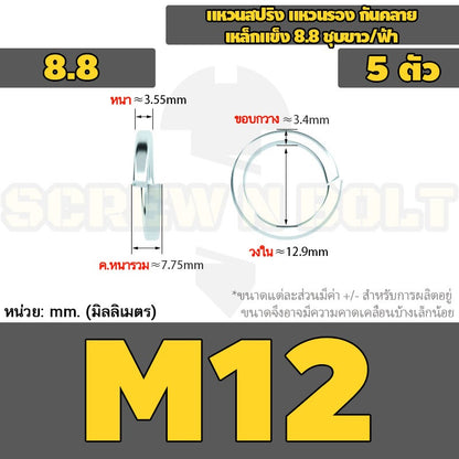 แหวนสปริง แหวนรอง กันคลาย เหล็กแข็ง 8.8 ชุบขาว/ฟ้า - M3 - M24 / 8.8 Grade Spring Washer White Zinc