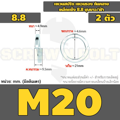 แหวนสปริง แหวนรอง กันคลาย เหล็กแข็ง 8.8 ชุบขาว/ฟ้า - M3 - M24 / 8.8 Grade Spring Washer White Zinc