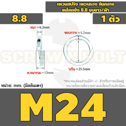 แหวนสปริง แหวนรอง กันคลาย เหล็กแข็ง 8.8 ชุบขาว/ฟ้า - M3 - M24 / 8.8 Grade Spring Washer White Zinc