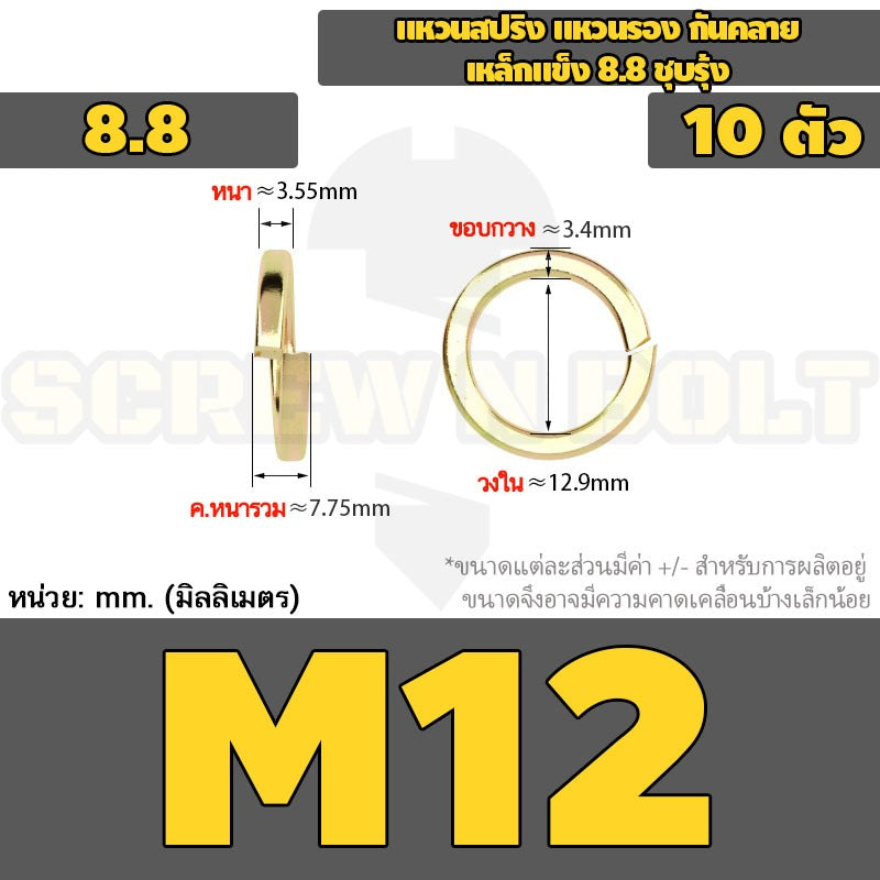 แหวนสปริง แหวนรอง กันคลาย เหล็กแข็ง 8.8 ชุบรุ้ง - M5 - M24 / 8.8 Grade Spring Washer Yellow Zinc