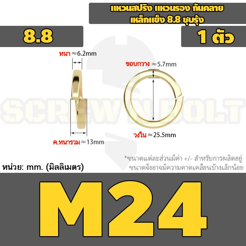 แหวนสปริง แหวนรอง กันคลาย เหล็กแข็ง 8.8 ชุบรุ้ง - M5 - M24 / 8.8 Grade Spring Washer Yellow Zinc
