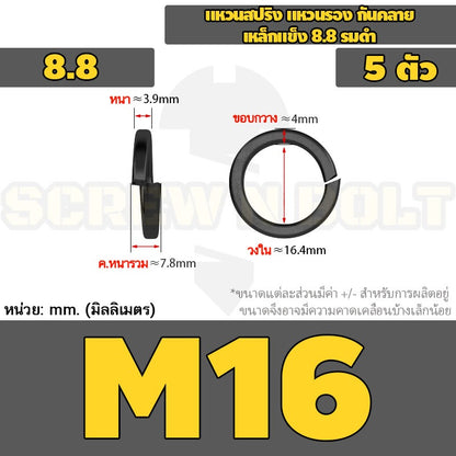 แหวนสปริง แหวนรอง กันคลาย เหล็กแข็ง 8.8 รมดำ - M2 - M36 / 8.8 Grade Spring Washer Black Oxide