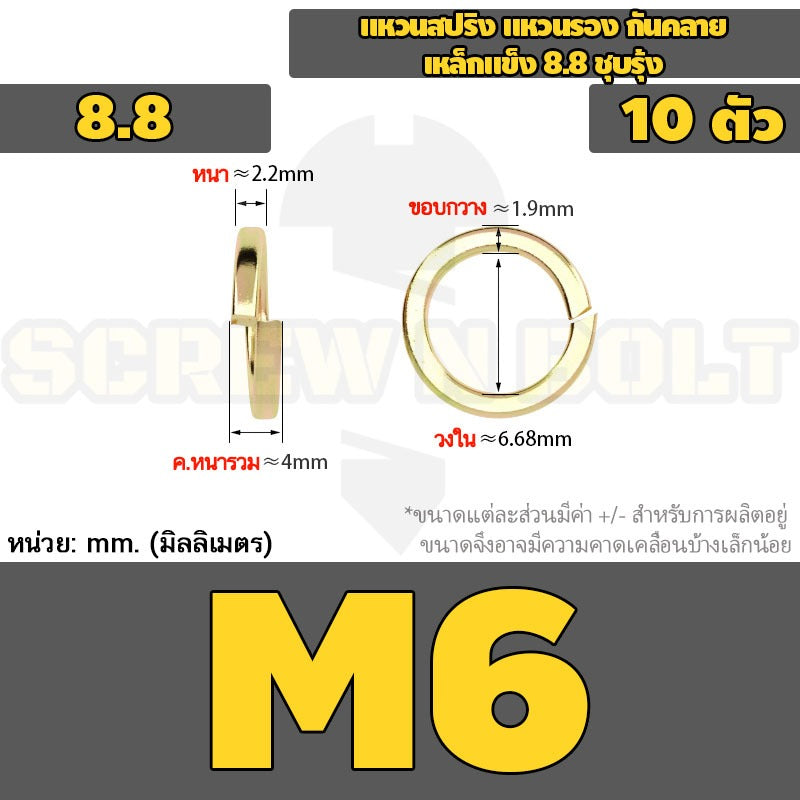 แหวนสปริง แหวนรอง กันคลาย เหล็กแข็ง 8.8 ชุบรุ้ง - M5 - M24 / 8.8 Grade Spring Washer Yellow Zinc