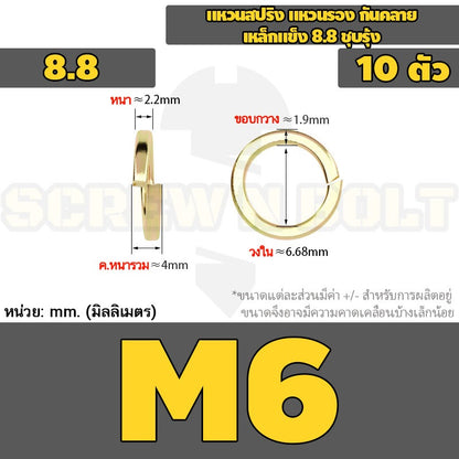 แหวนสปริง แหวนรอง กันคลาย เหล็กแข็ง 8.8 ชุบรุ้ง - M5 - M24 / 8.8 Grade Spring Washer Yellow Zinc