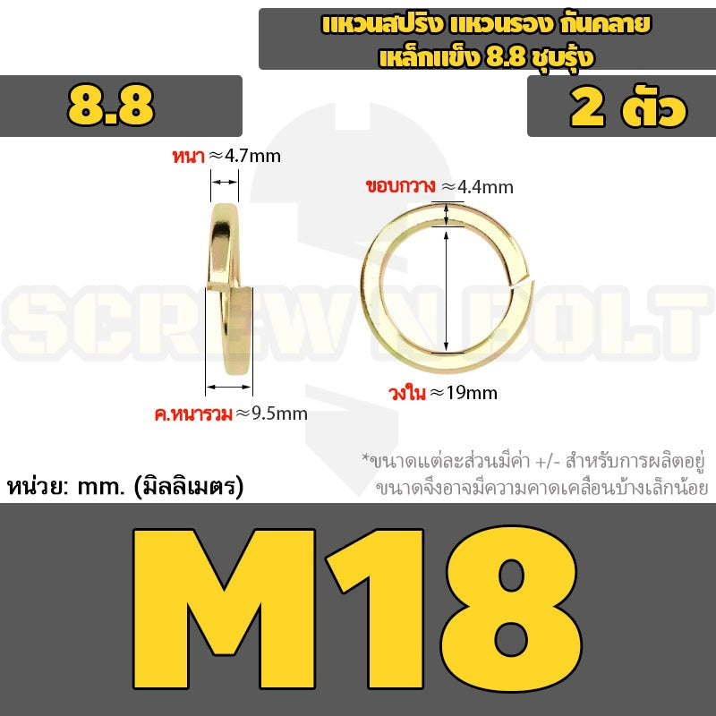แหวนสปริง แหวนรอง กันคลาย เหล็กแข็ง 8.8 ชุบรุ้ง - M5 - M24 / 8.8 Grade Spring Washer Yellow Zinc