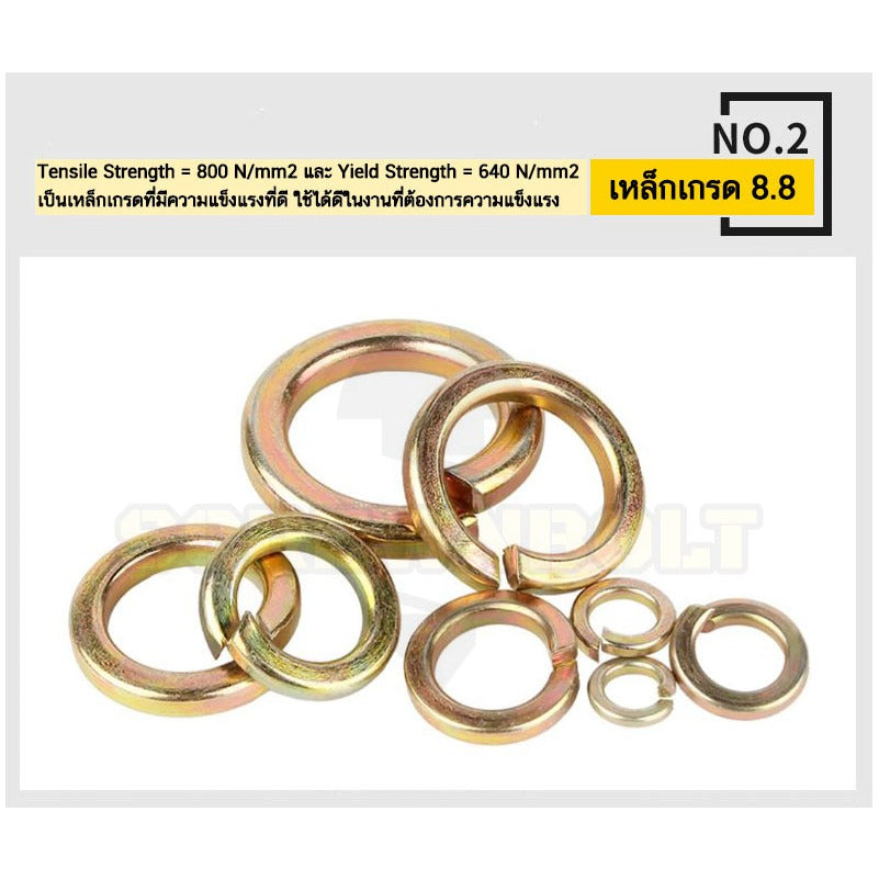 แหวนสปริง แหวนรอง กันคลาย เหล็กแข็ง 8.8 ชุบรุ้ง - M5 - M24 / 8.8 Grade Spring Washer Yellow Zinc