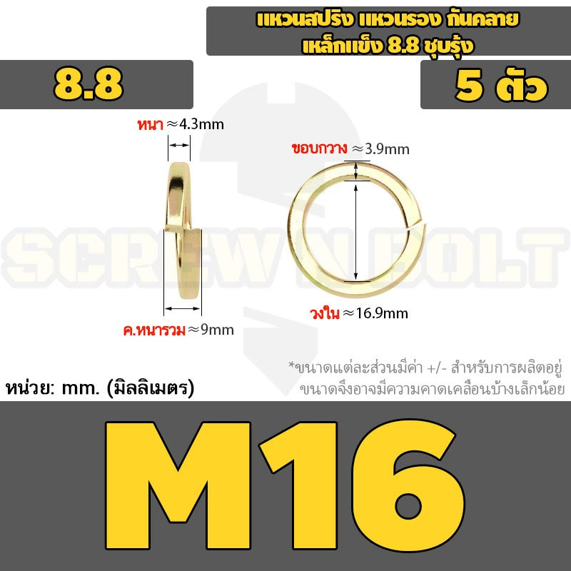 แหวนสปริง แหวนรอง กันคลาย เหล็กแข็ง 8.8 ชุบรุ้ง - M5 - M24 / 8.8 Grade Spring Washer Yellow Zinc