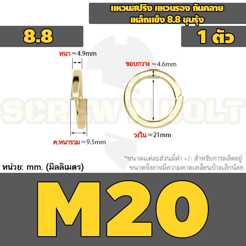 แหวนสปริง แหวนรอง กันคลาย เหล็กแข็ง 8.8 ชุบรุ้ง - M5 - M24 / 8.8 Grade Spring Washer Yellow Zinc