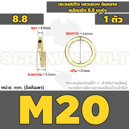 แหวนสปริง แหวนรอง กันคลาย เหล็กแข็ง 8.8 ชุบรุ้ง - M5 - M24 / 8.8 Grade Spring Washer Yellow Zinc