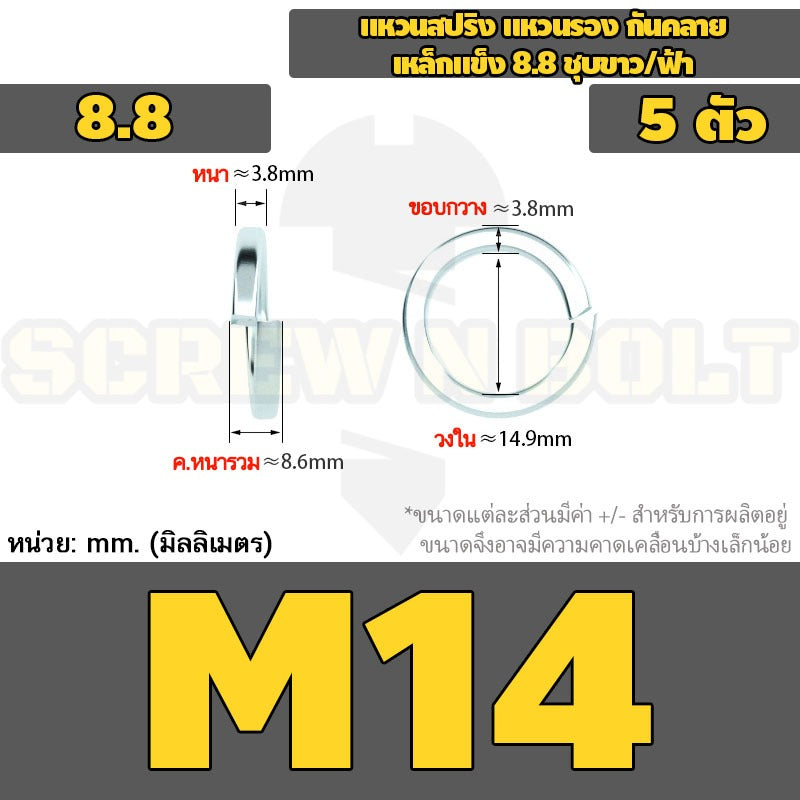 แหวนสปริง แหวนรอง กันคลาย เหล็กแข็ง 8.8 ชุบขาว/ฟ้า - M3 - M24 / 8.8 Grade Spring Washer White Zinc