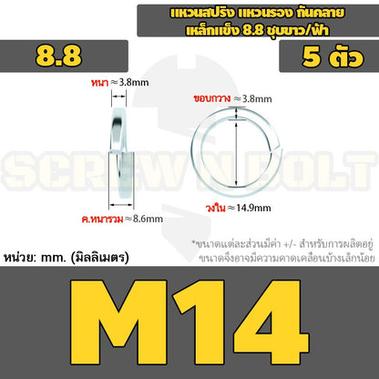 แหวนสปริง แหวนรอง กันคลาย เหล็กแข็ง 8.8 ชุบขาว/ฟ้า - M3 - M24 / 8.8 Grade Spring Washer White Zinc