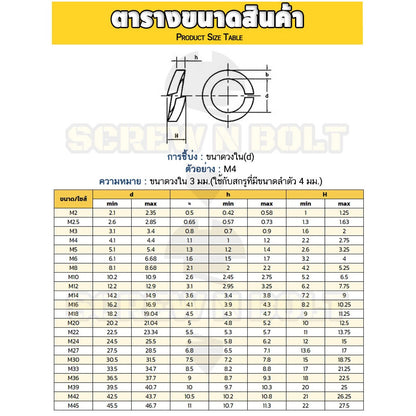 แหวนสปริง แหวนรอง กันคลาย เหล็กแข็ง 8.8 ชุบขาว/ฟ้า - M3 - M24 / 8.8 Grade Spring Washer White Zinc