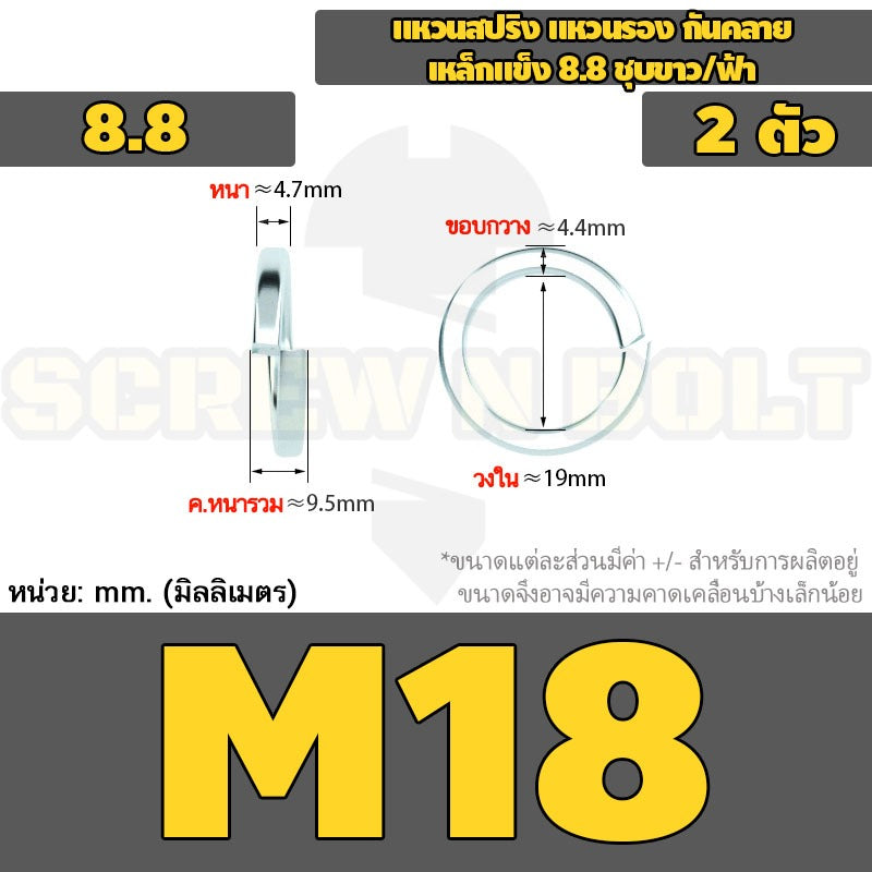 แหวนสปริง แหวนรอง กันคลาย เหล็กแข็ง 8.8 ชุบขาว/ฟ้า - M3 - M24 / 8.8 Grade Spring Washer White Zinc