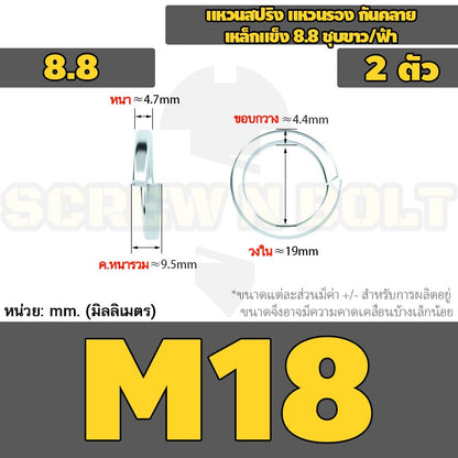 แหวนสปริง แหวนรอง กันคลาย เหล็กแข็ง 8.8 ชุบขาว/ฟ้า - M3 - M24 / 8.8 Grade Spring Washer White Zinc