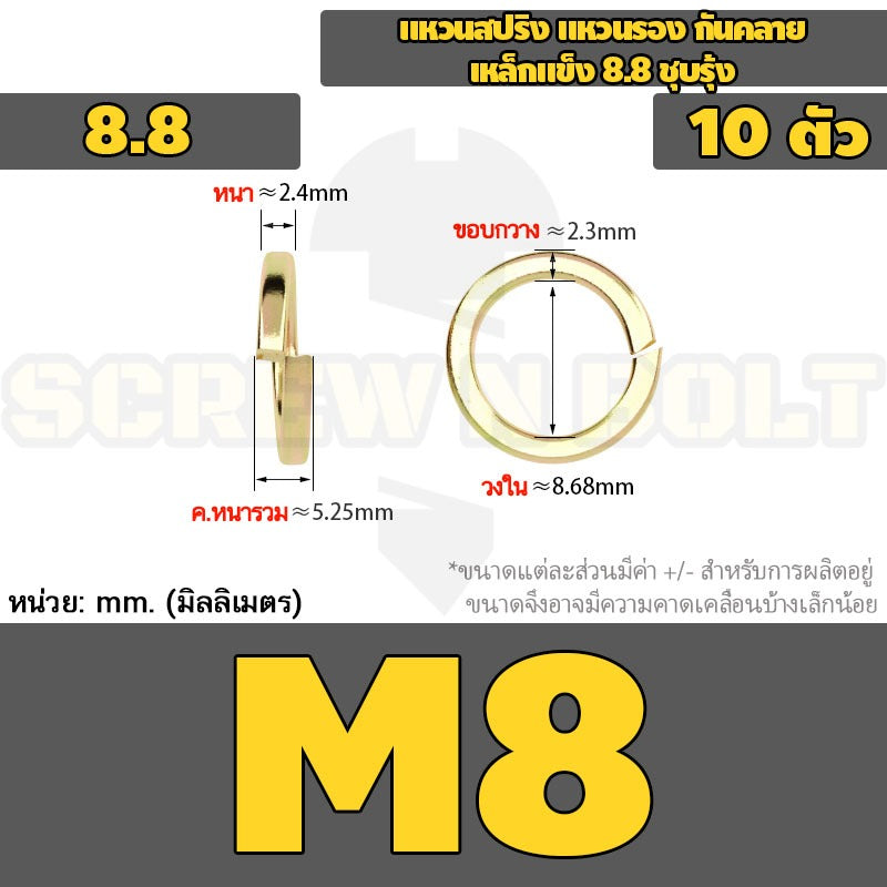 แหวนสปริง แหวนรอง กันคลาย เหล็กแข็ง 8.8 ชุบรุ้ง - M5 - M24 / 8.8 Grade Spring Washer Yellow Zinc